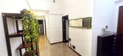 Dover Parkview (D5), Condominium #558059471